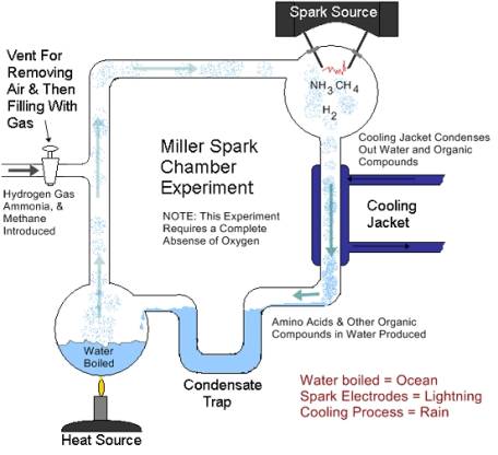 Miller Spark Chamber